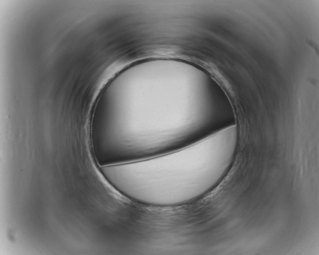 X0000099441432200805090738