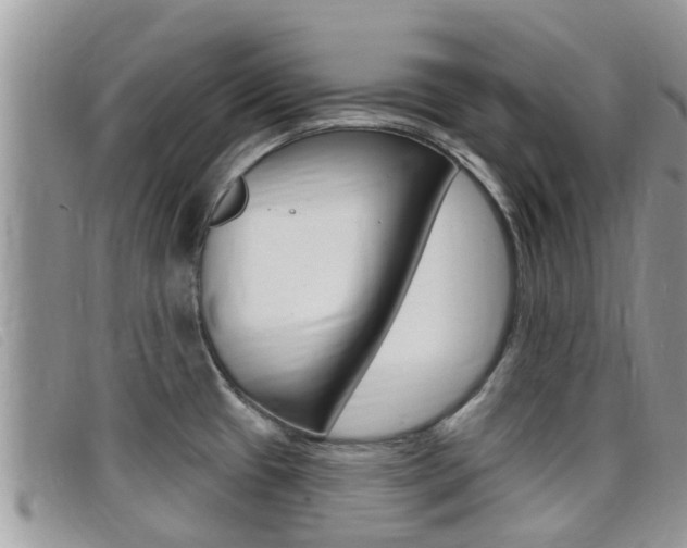 X0000099441433200805090738