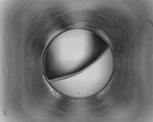 X0000099441434200805090738