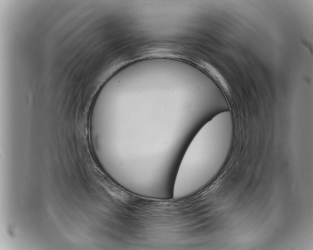 X0000099441435200805090738