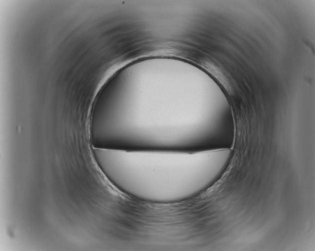X0000099441436200805090738