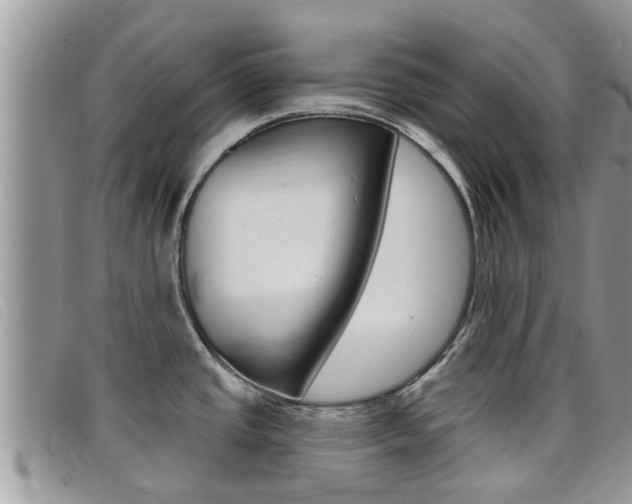 X0000099441437200805090738