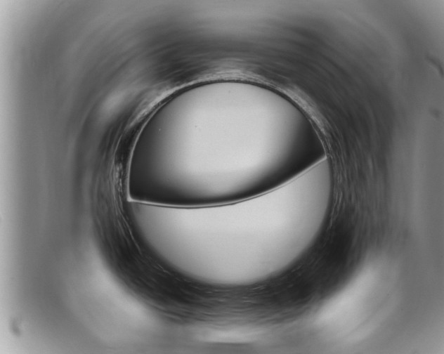 X0000099441438200805090738