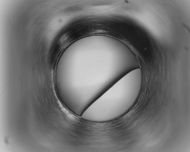 X0000099441439200805090738