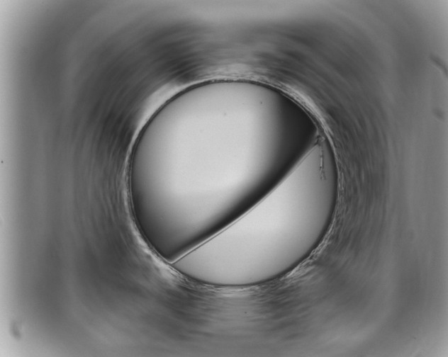 X0000099441440200805090738