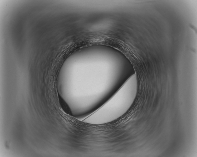 X0000099441441200805090738