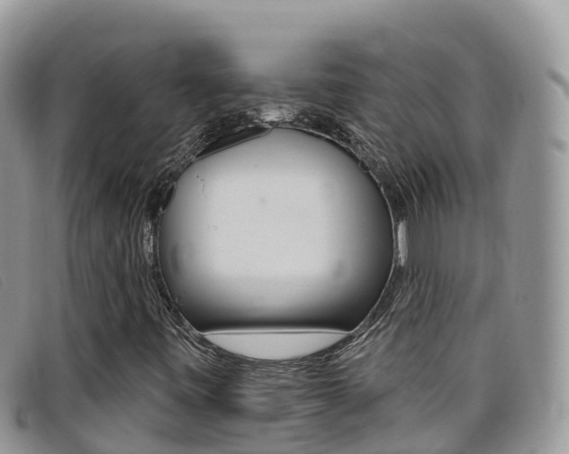 X0000099441443200805090738