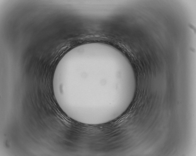 X0000099441444200805090738