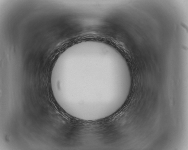 X0000099441445200805090738