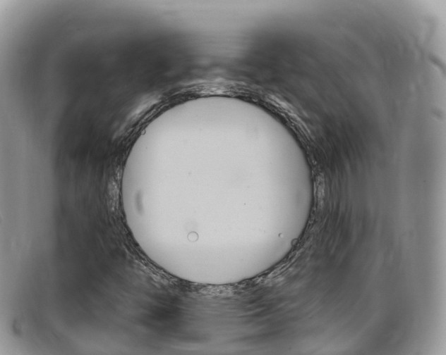 X0000099441446200805090738