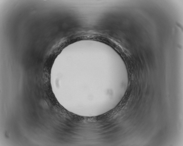 X0000099441447200805090738