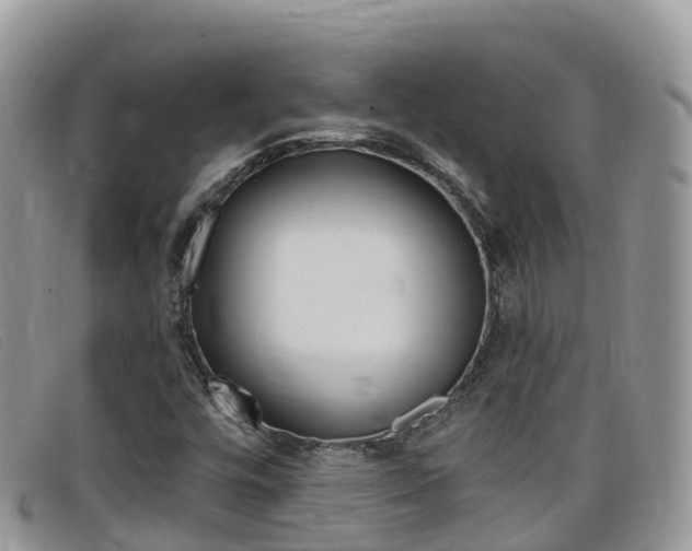 X0000099441448200805090738