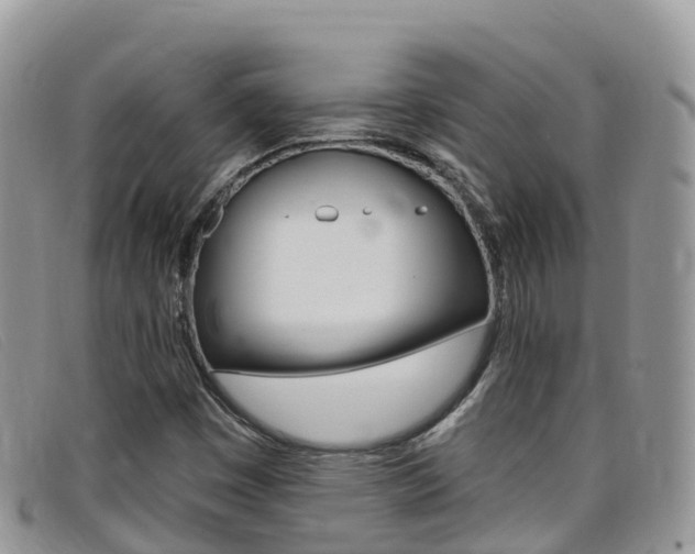 X0000099441449200805090738