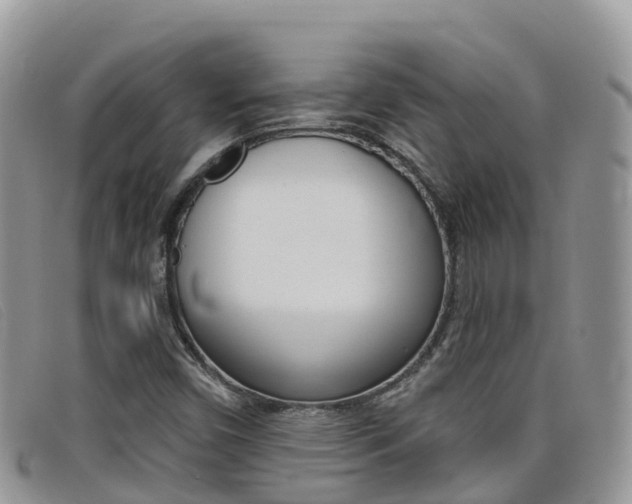 X0000099441450200805090738