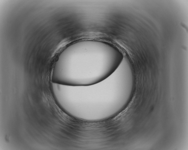 X0000099441451200805090738