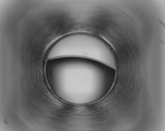 X0000099441452200805090738