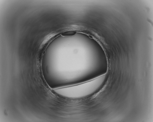 X0000099441453200805090738