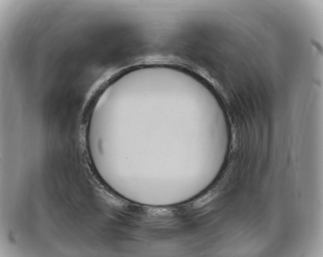 X0000099441454200805090738