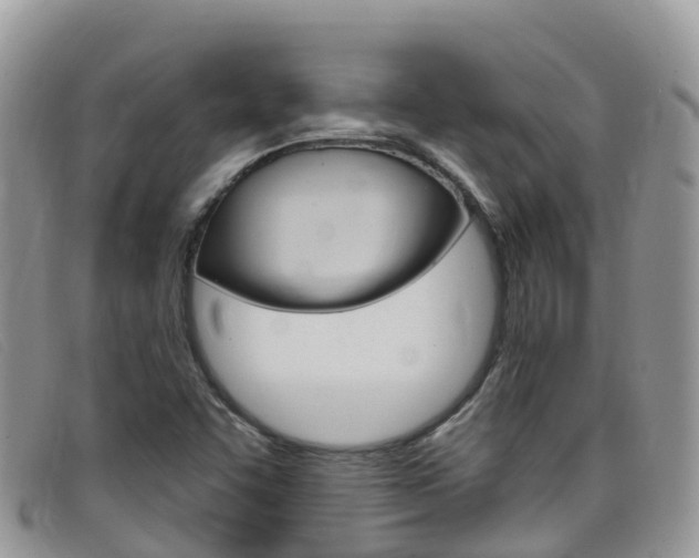 X0000099441455200805090738