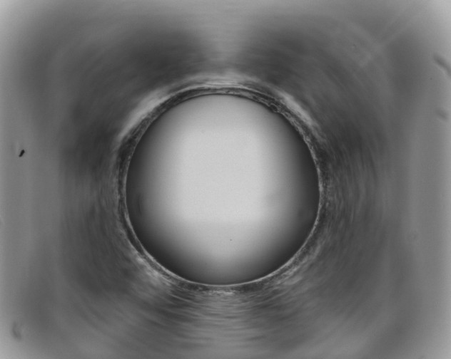 X0000099441456200805090738