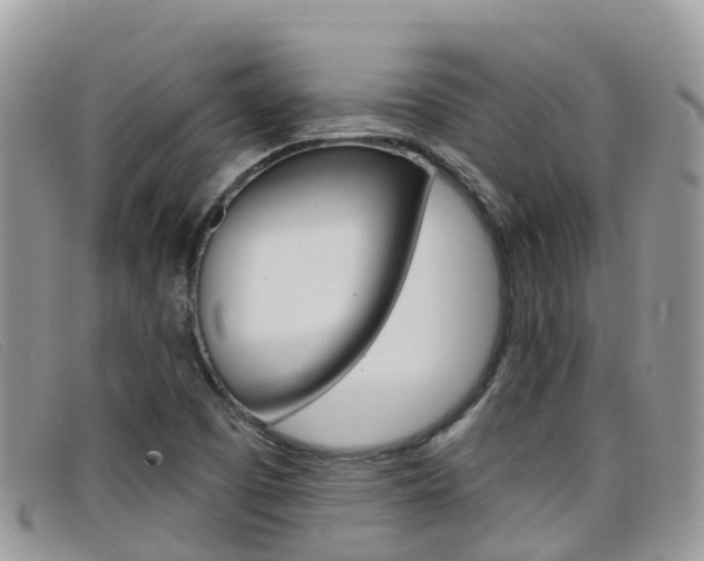 X0000099441457200805090738