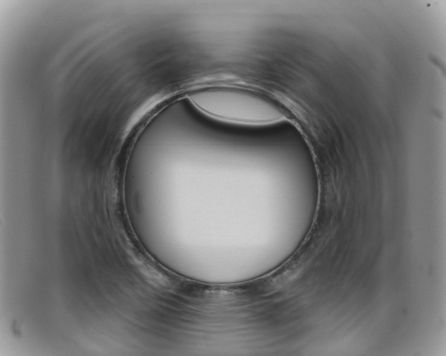 X0000099441458200805090737