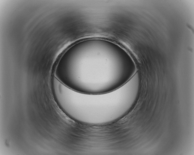 X0000099441460200805090737