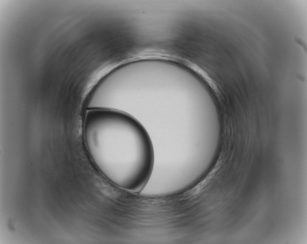 X0000099441461200805090737