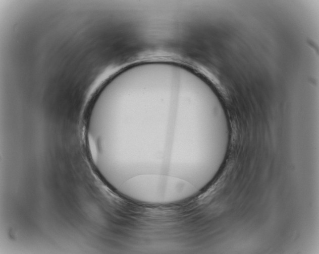 X0000099441462200805090737