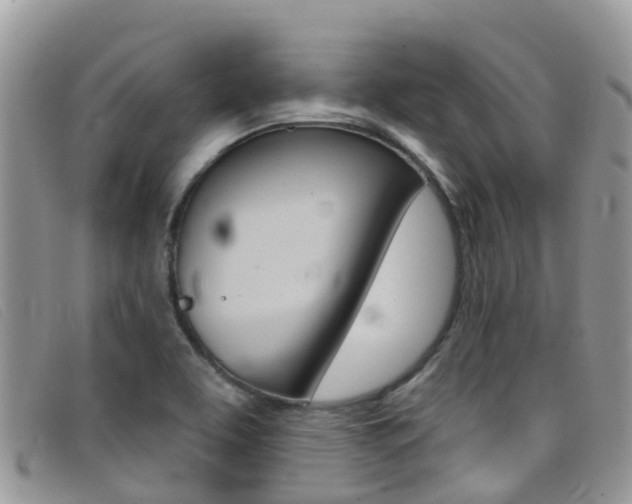 X0000099441463200805090737