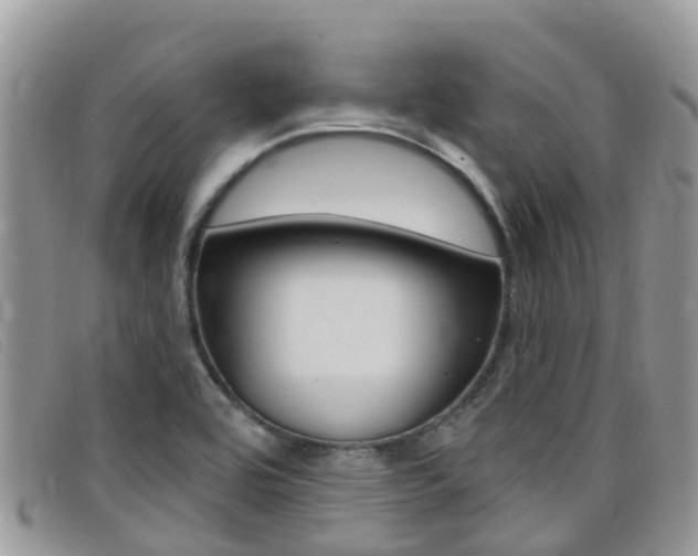 X0000099441464200805090737
