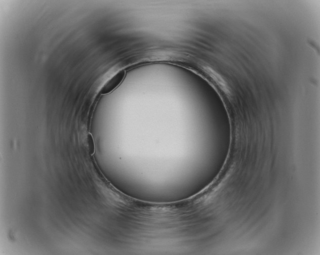 X0000099441465200805090737