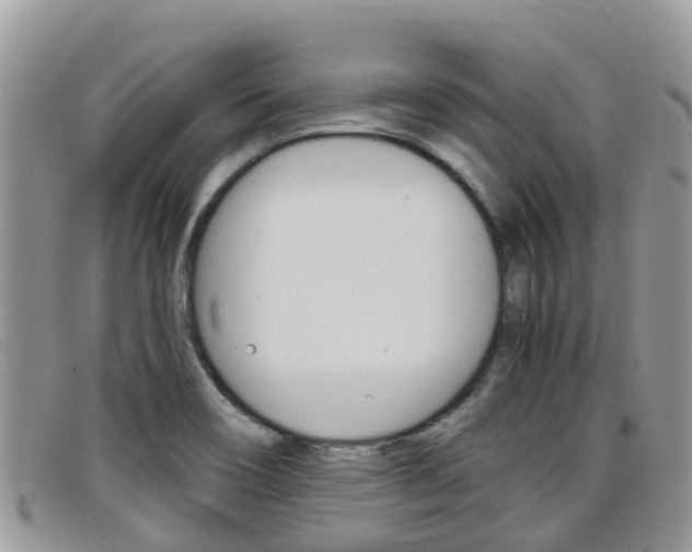 X0000099441466200805090737