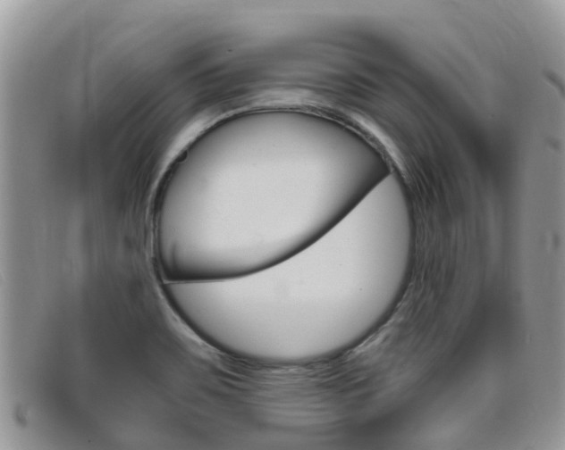 X0000099441467200805090737