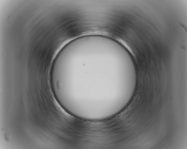 X0000099441468200805090737
