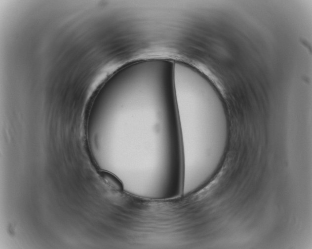 X0000099441469200805090737