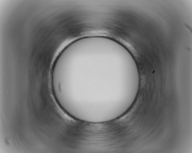 X0000099441470200805090737