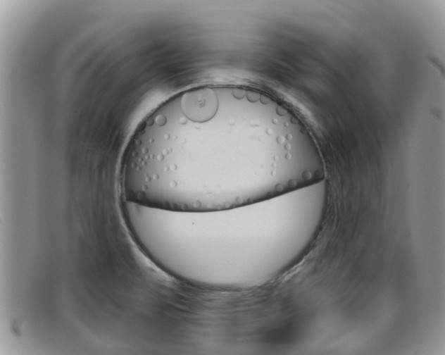 X0000099441471200805090737