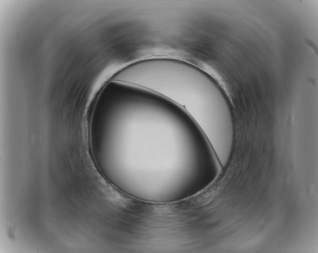X0000099441472200805090737