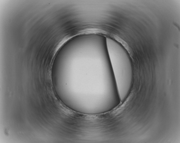 X0000099441473200805090737