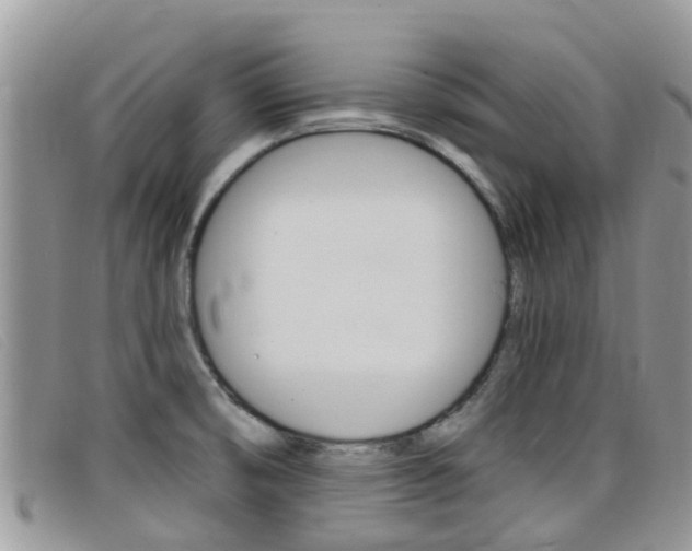 X0000099441474200805090737