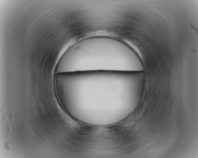X0000099441475200805090737