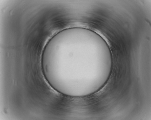 X0000099441477200805090737