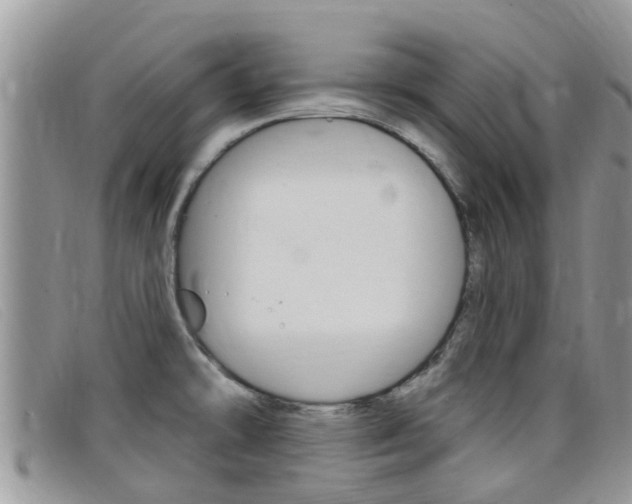 X0000099441478200805090737