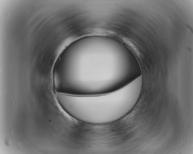 X0000099441479200805090737