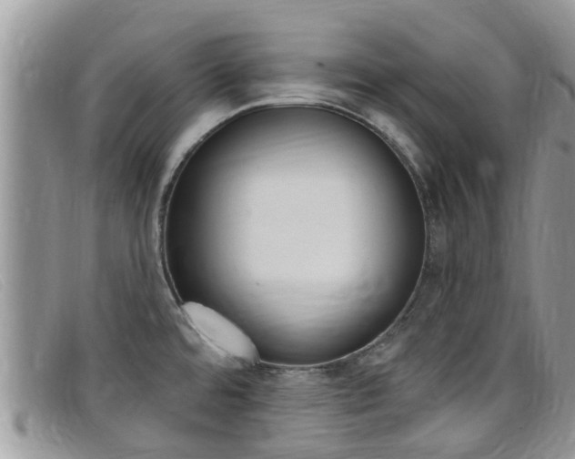 X0000099441480200805090737
