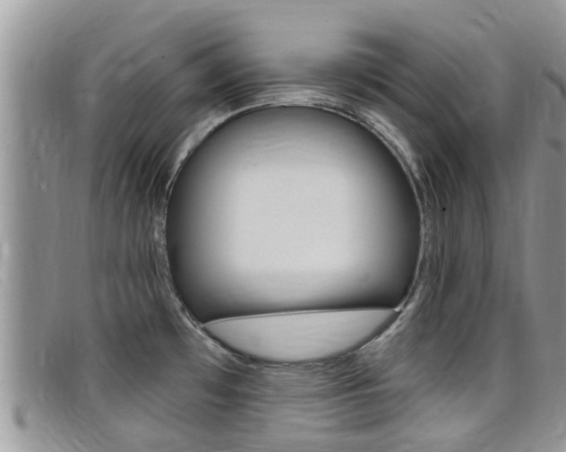 X0000099441481200805090737