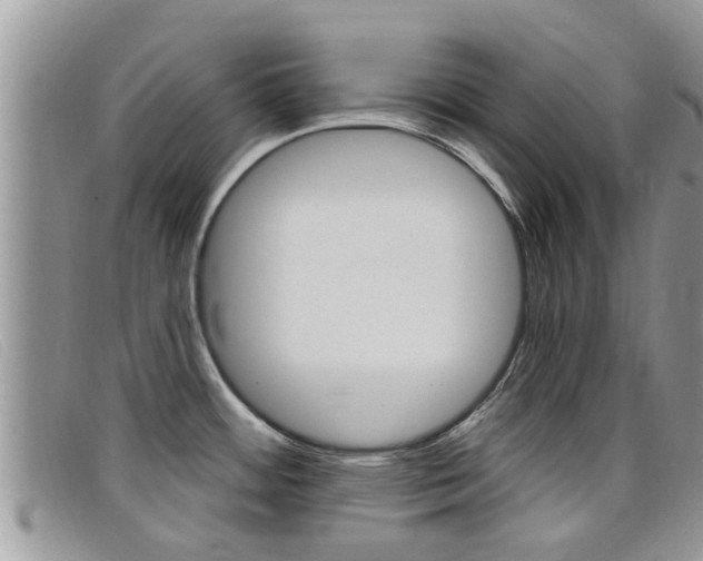 X0000099441484200805090737