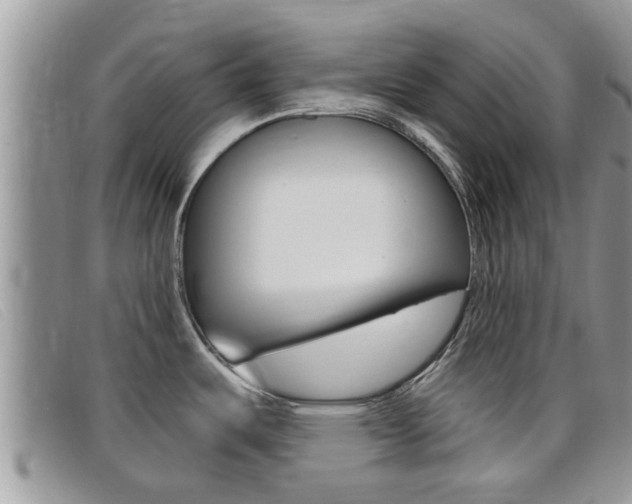 X0000099441487200805090737