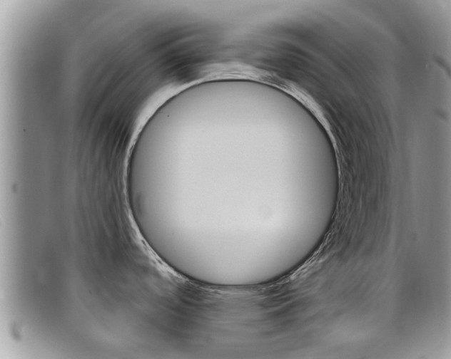 X0000099441488200805090737